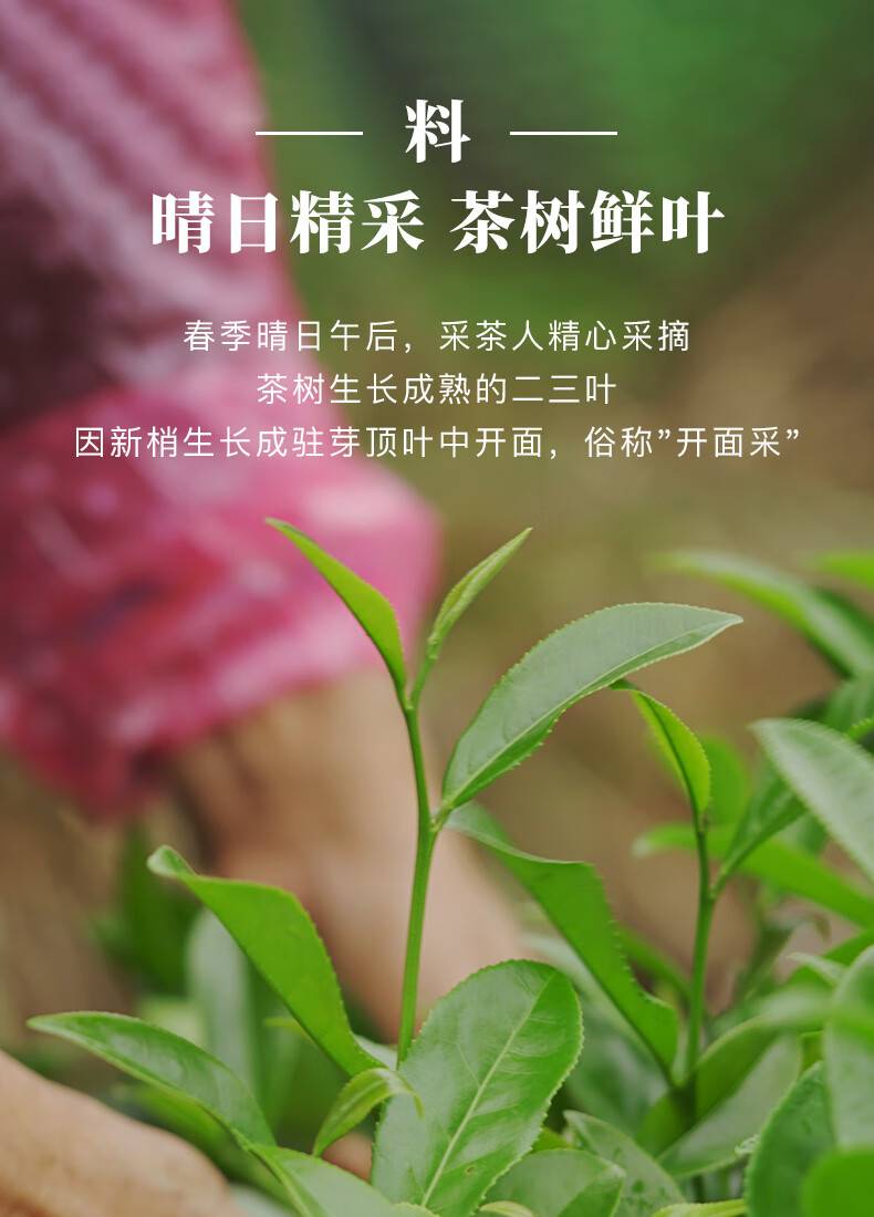 详情-05.jpg